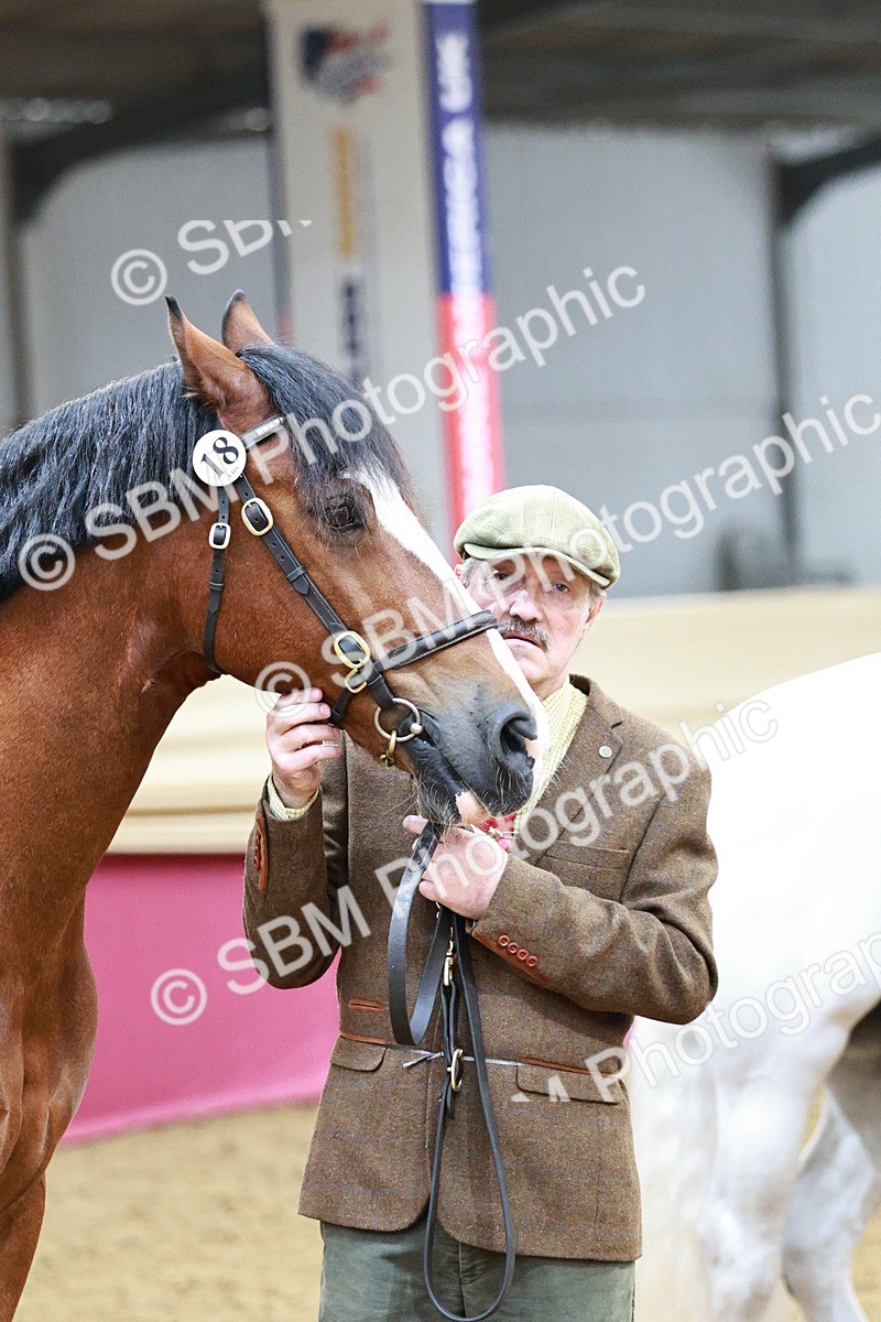 SBM_01279 - Class 3A - Area IH Pre-Vet