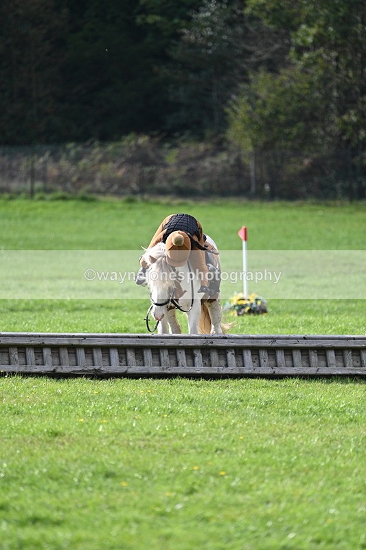 WJ7_3954 - 40cm Time 10:26 to 10:42