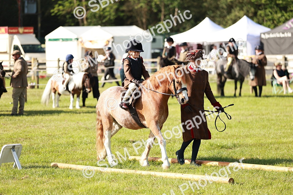 SBM_11193 - Class 106-107 - BSPS LIHS Working Sports Pony