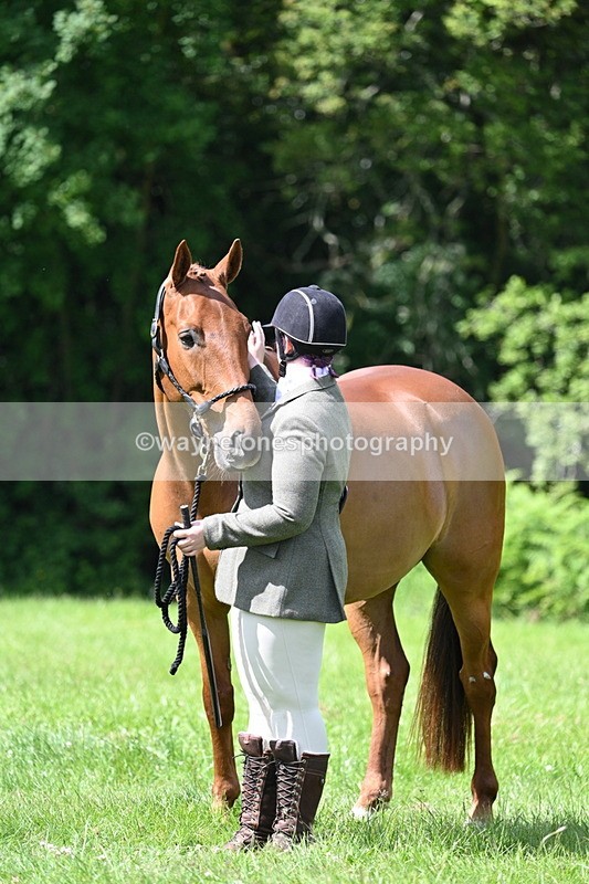 WJ7_1489 - Class 11 Condition & Turnout