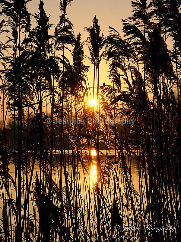  - Landscapes