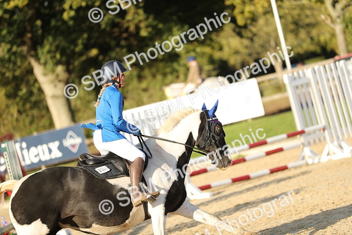 SBM_54200 - J23 - Junior Horse 70cm Championship