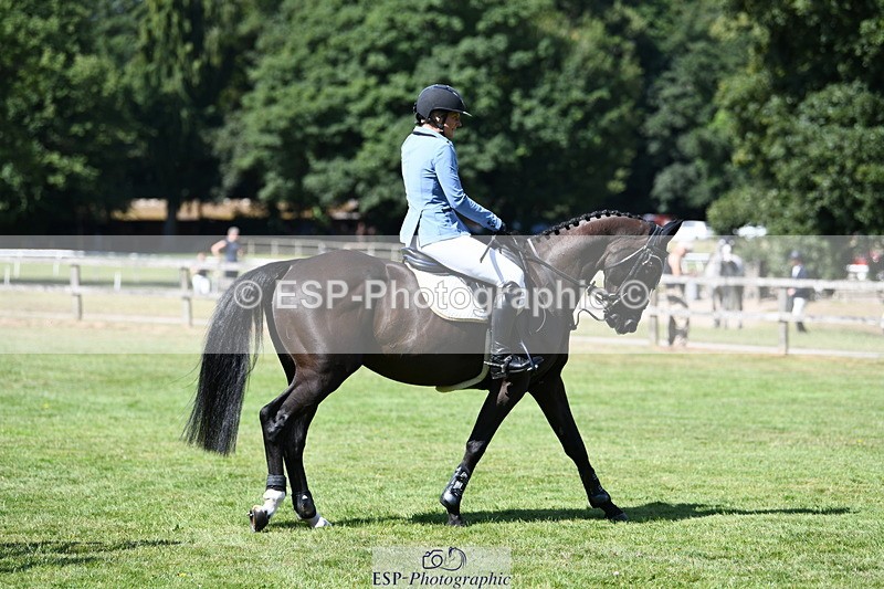 250703A-103725-00508 - Cls 11 5 Year Old