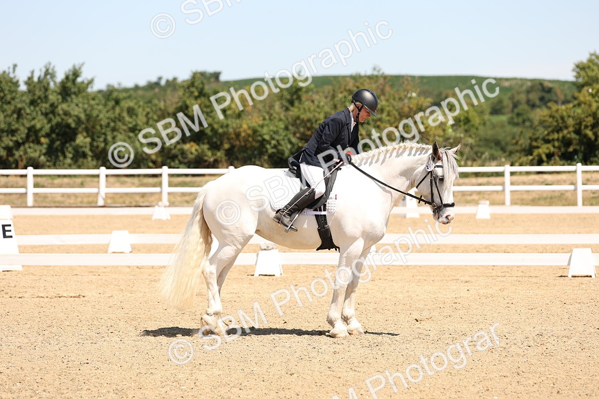 SBM_001326 - Intro 2