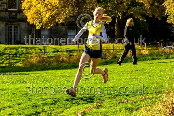 NatRel25-913962 - Young Female Set Two