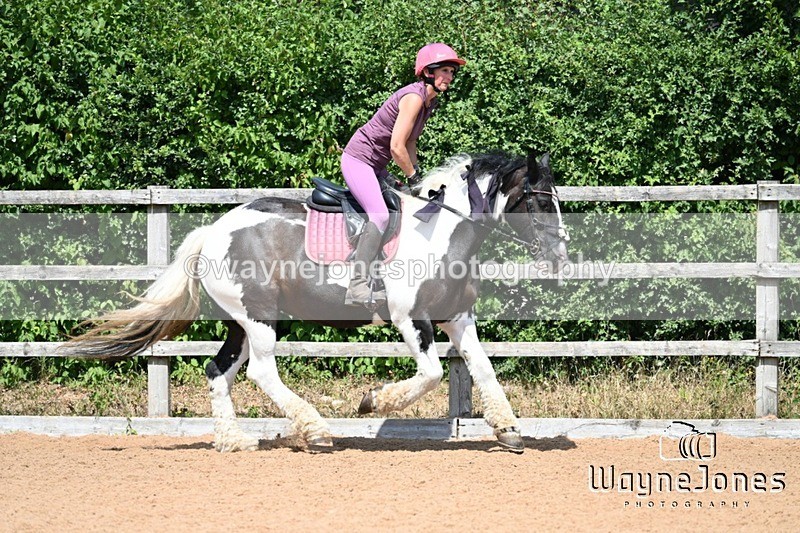 WJ7_6528 - Show Jumping at BCA