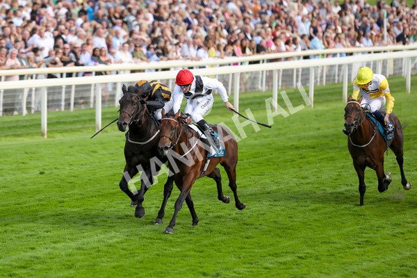 280723-Race 3-Loose Cannon-2827 - Race 3 6.05pm Ire-Incentive, It Pays To Buy Irish EBF Restricted Novice Stakes