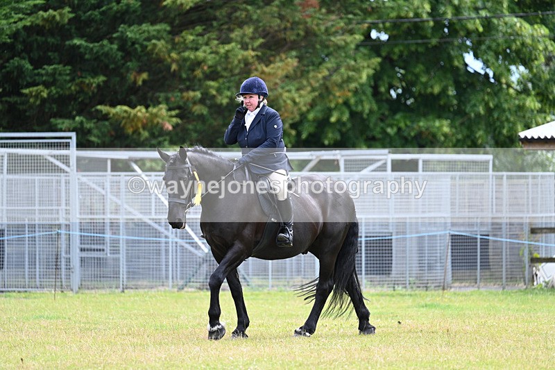 WJ7_8896 - Class 7  Riding Club Show Horse