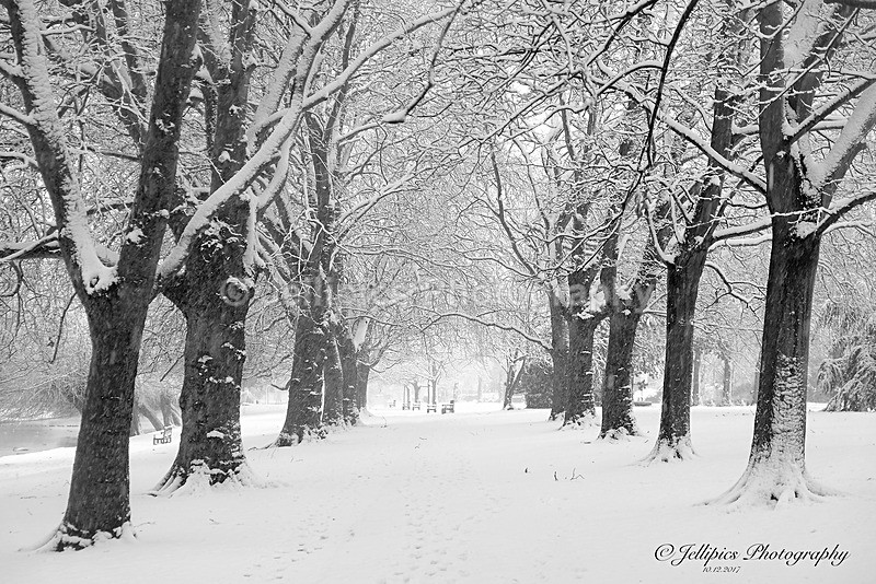  - Landscapes = 'Bedford in the Snow'