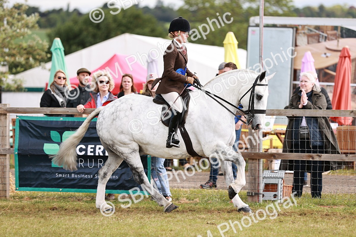 SBM_13156 - Class 85-87 - RIHS Cobs