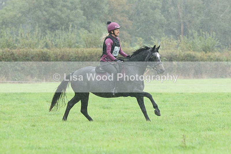 JPP_5105 - Class 1: 65cm : Showjumping