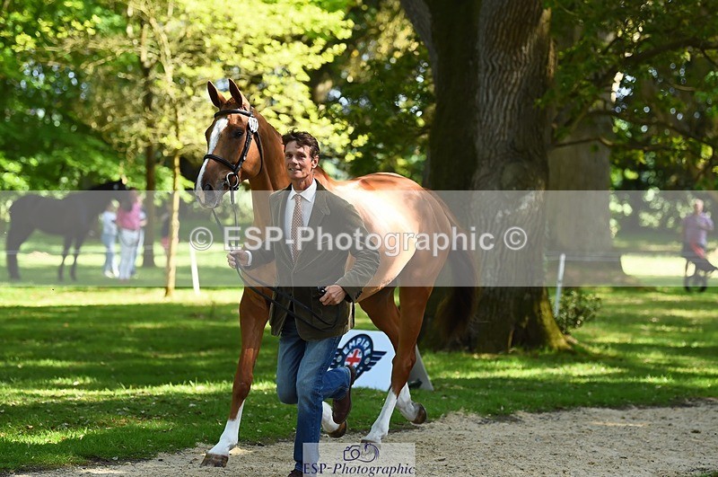 230524-154708-00498 - 370-DUKE_LEGACY-William_Fox-Pitt-WEDTrotUp+DR