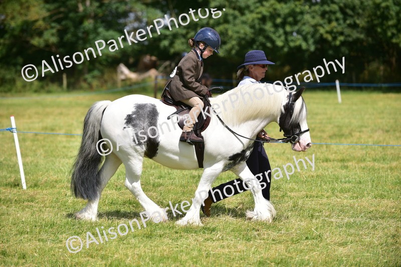 20260614-1179 - Class 11a - Lead Rein Pony (Unplaited)