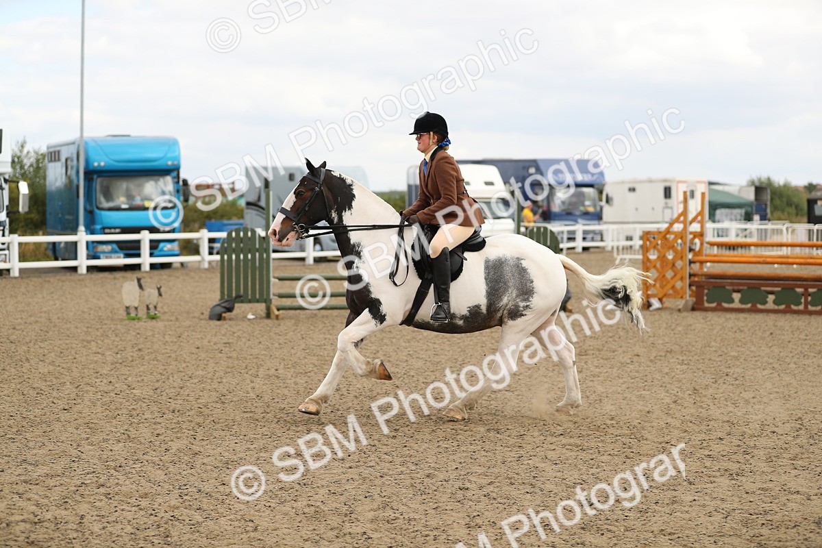 SBM_05202 - Class 47b Style & Performance 60cm (20+)