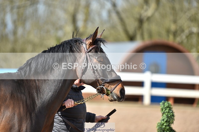 240417A-160108-01068 - 4pm to Finish