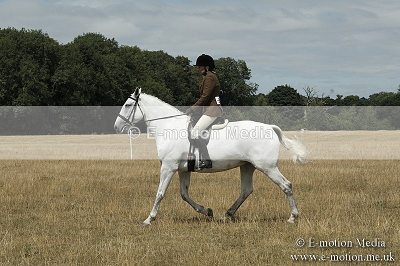 _PJP6014 - BVRC Show 2018 Ring 1