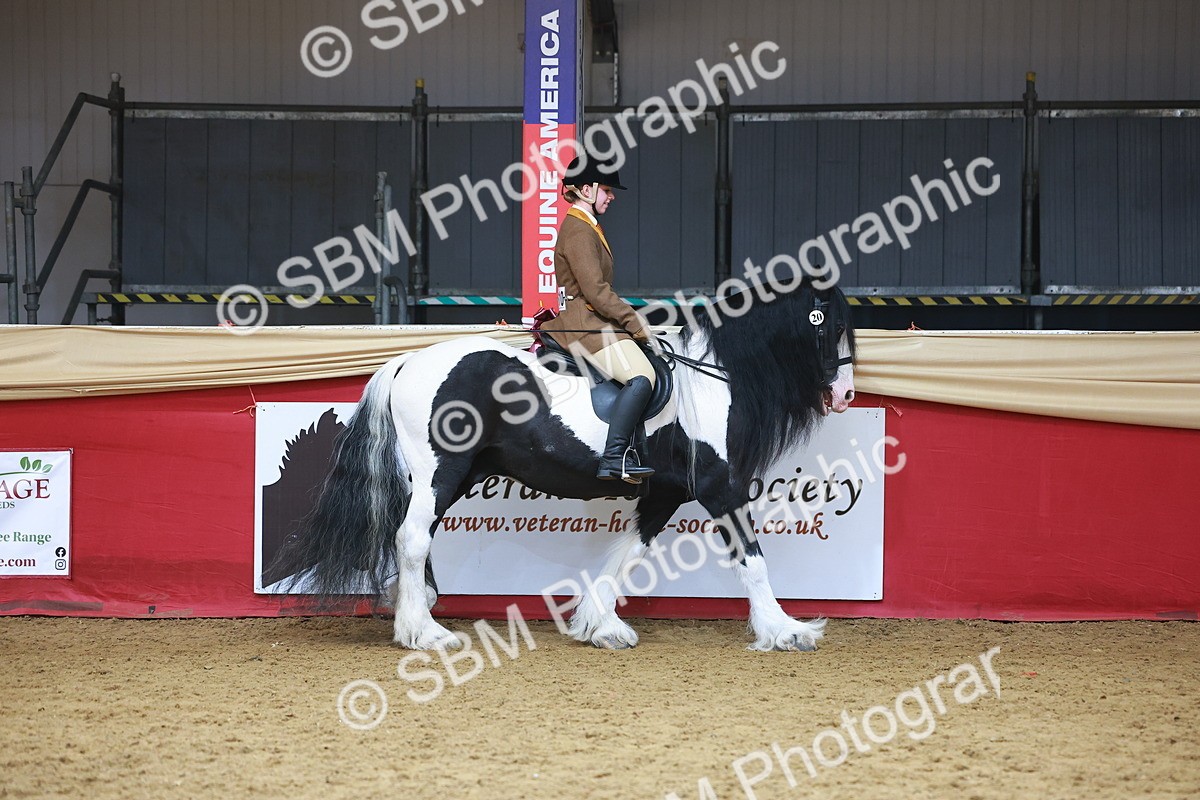 SBM_09592 - Class 102 - HOYS Veteran Qualifier - Ridden Veteran