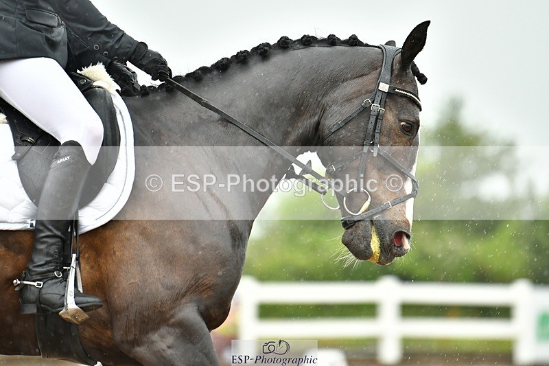 230708A-123500-02822 - Prelim 13