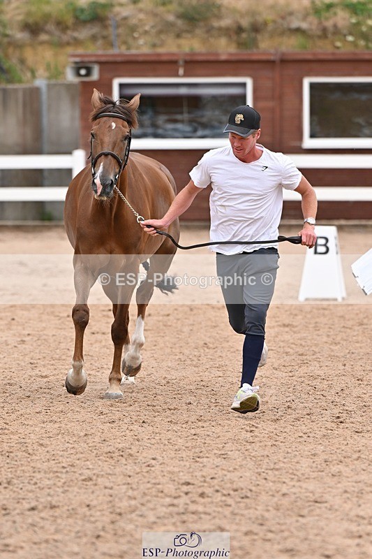 250716-143257-01193 - Trot Up 2.30 to 3.30