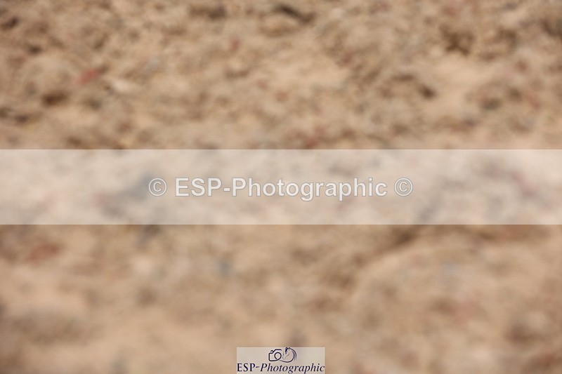 240621A-130606-00955 - Cls 15 BD Music Adv Medium