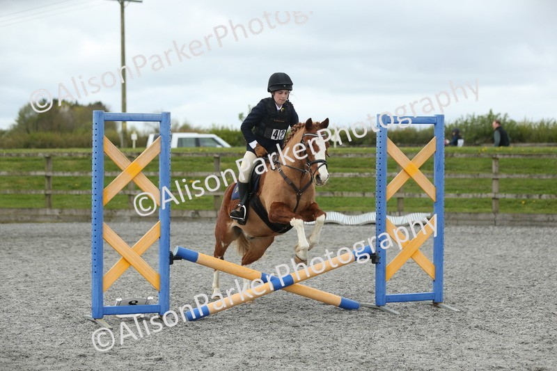 20260412-0615 - Show Jumping