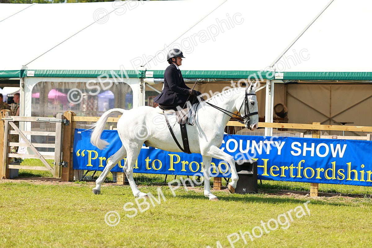 SBM_13129 - Class 70-71 - Side Saddle