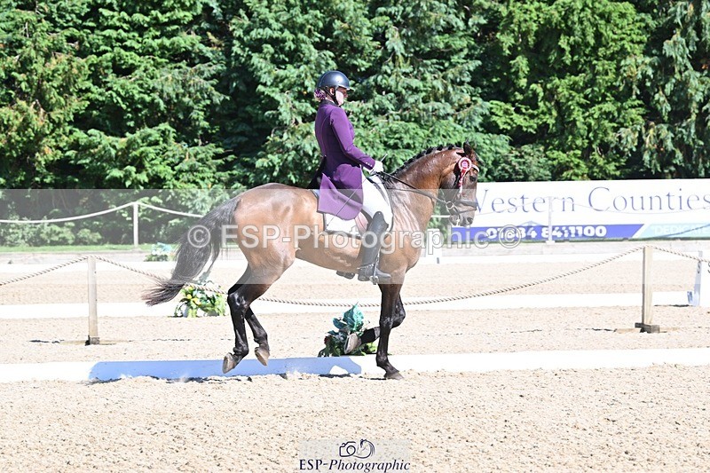 240811-154531-06846 - Inter I Silver