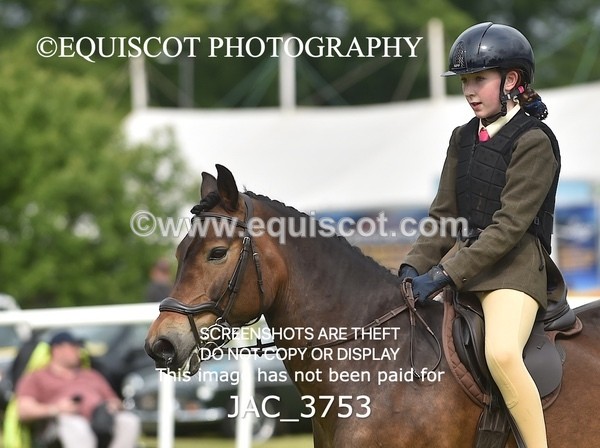 JAC_3753 - 75CM WORKING HUNTER