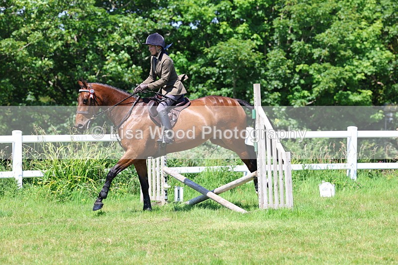 3E7A7448 - Class 31: Working Hunter Cob/Riding Horse
