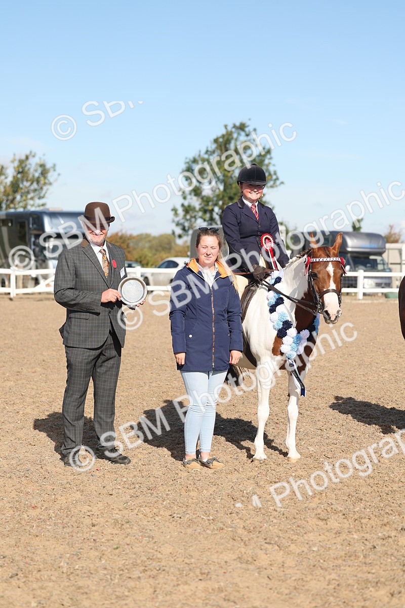 SBM_12401 - Class 304 - Ridden part Bred Horse Pony