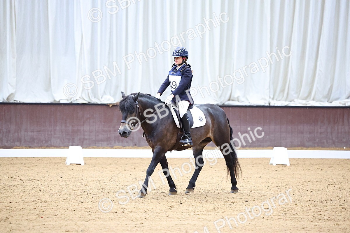 SBM_003404 - Intro 2