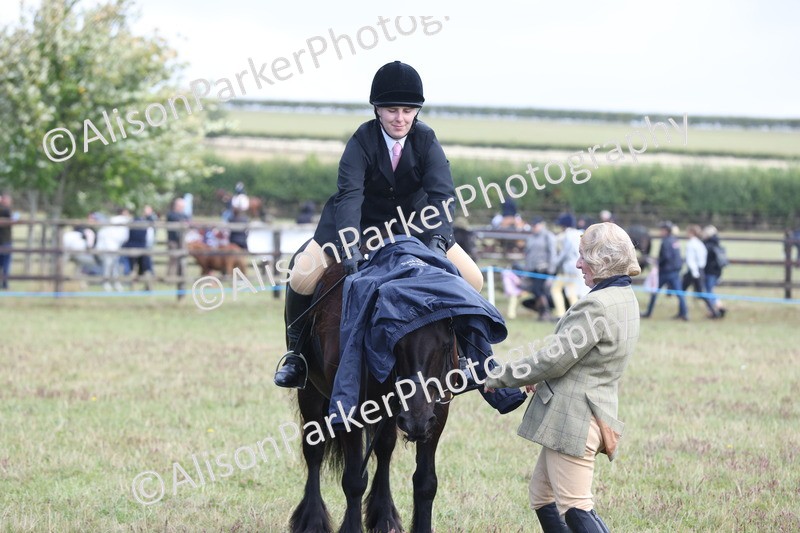 20250831-2434 - Class 16 - Family Pony