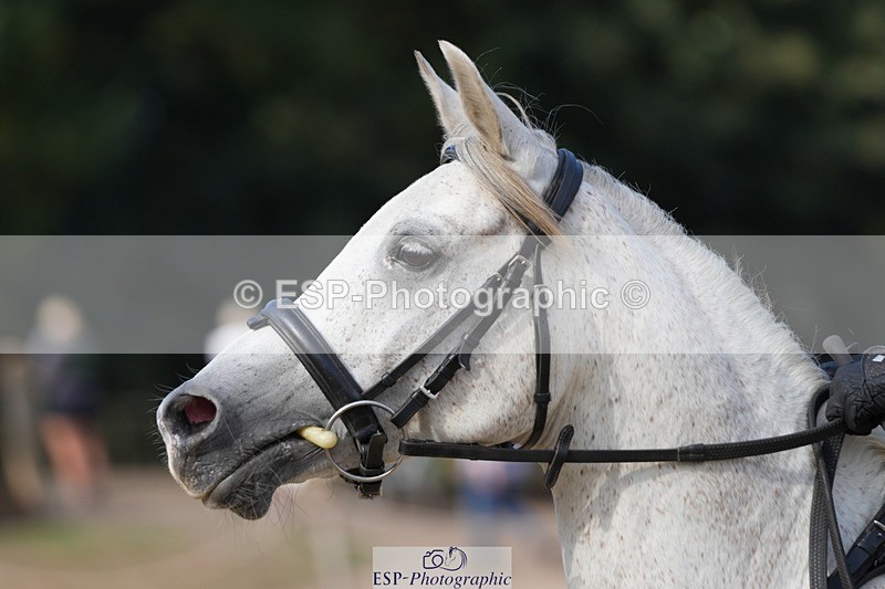 250821A-093148-13000 - WC Round 2 9.30 to 10.00