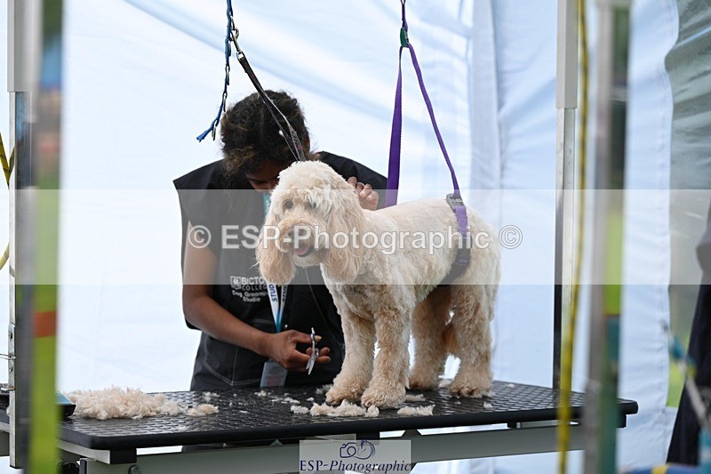 240525-114642-12610 - Candid and Saturday Hobby Horse