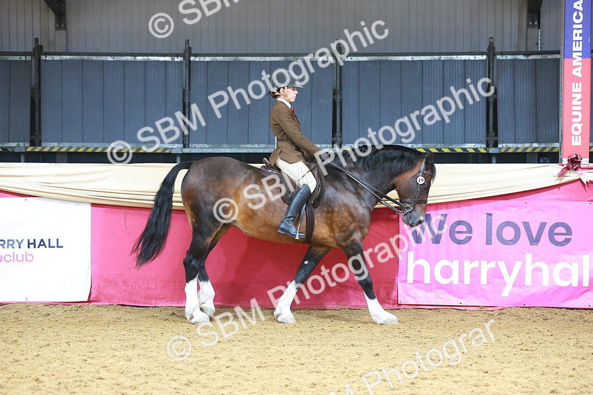 SBM_12397 - Class 103 - HOYS Veteran Qualifier - Ridden Pre Vet