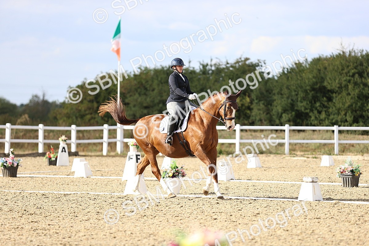 SBM_016045 - Class 5 - E5 Bronze  16.18.17.22