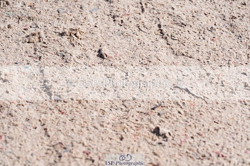 250427-100242-15443 - Cls 16 - 1 Star Bronze Tour