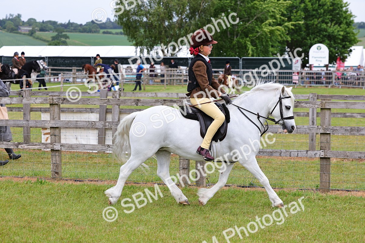 SBM_08550 - Class 42-43 - LIHS BSPS Heritage Working Sports Pony