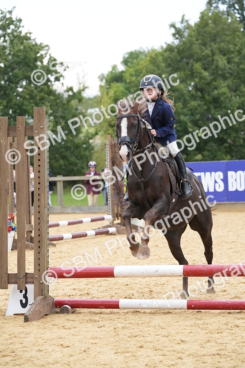 SBM_74538 - J4 - Mini Tour Junior Pony 45cm Championship