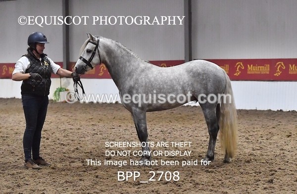 BPP_2708 - LOOSE JUMPING / SPSS