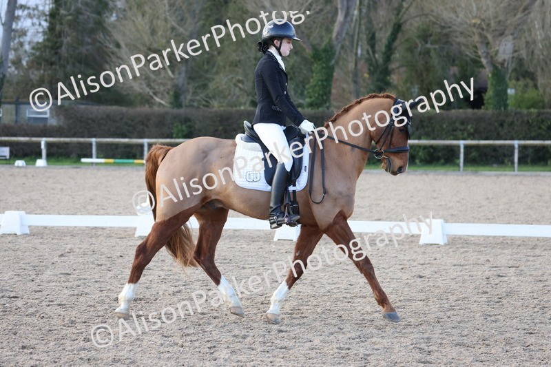 20260301-1298 - Class 14 - FEI Summer