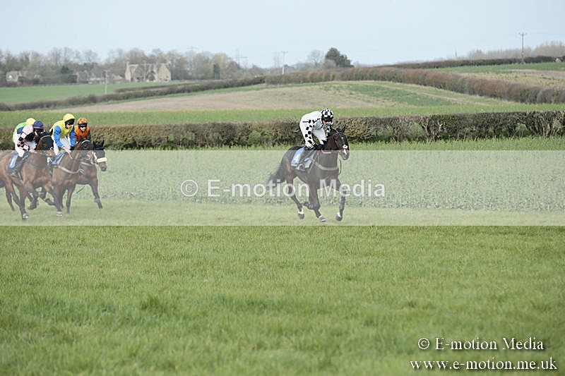 PtP 230319 280 - VWH Hunt Siddington Point-to-Point Racing 23/03/19
