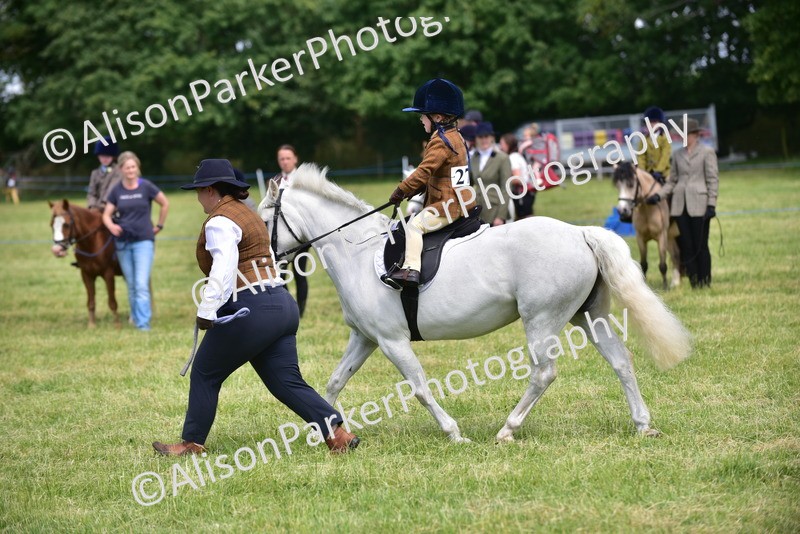 20260614-1214 - Class 11a - Lead Rein Pony (Unplaited)