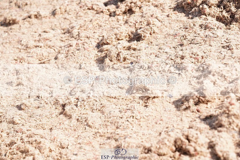 250510-084334-09603 - Cls 13 Snr Foxhunter