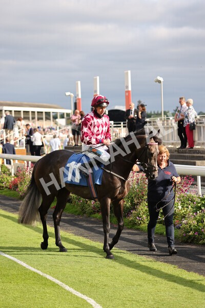 yr23072021r2-12 - Race 2 6.30pm IRE-Incentive It Pays To Buy Irish Stakes