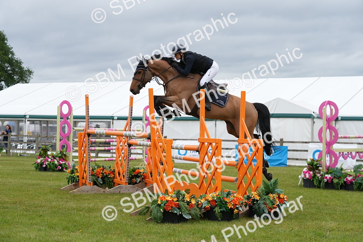 SBM_03381 - Class 201 - British Horse Feeds Speedi Beet Horse of the Year Show Grade  C
