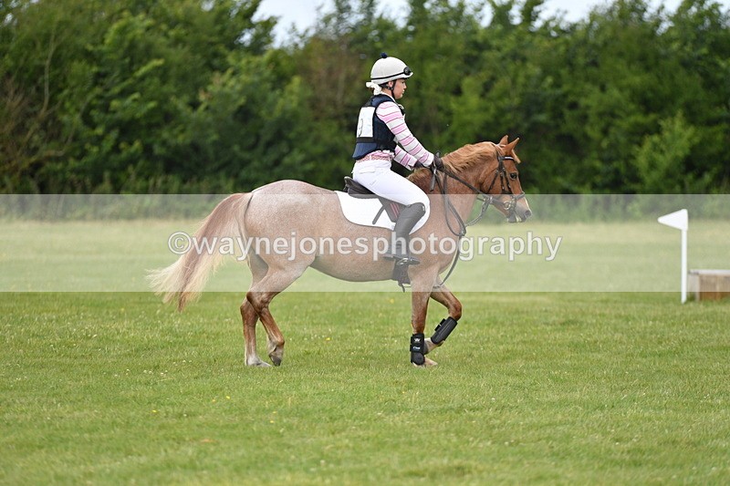 WJ5_2488 - Class 2 40cm