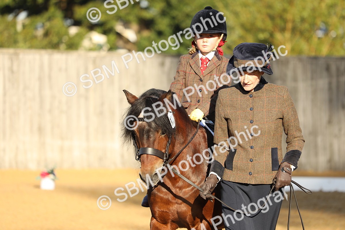 SBM_33668 - D26 - Starers - Lead Rein