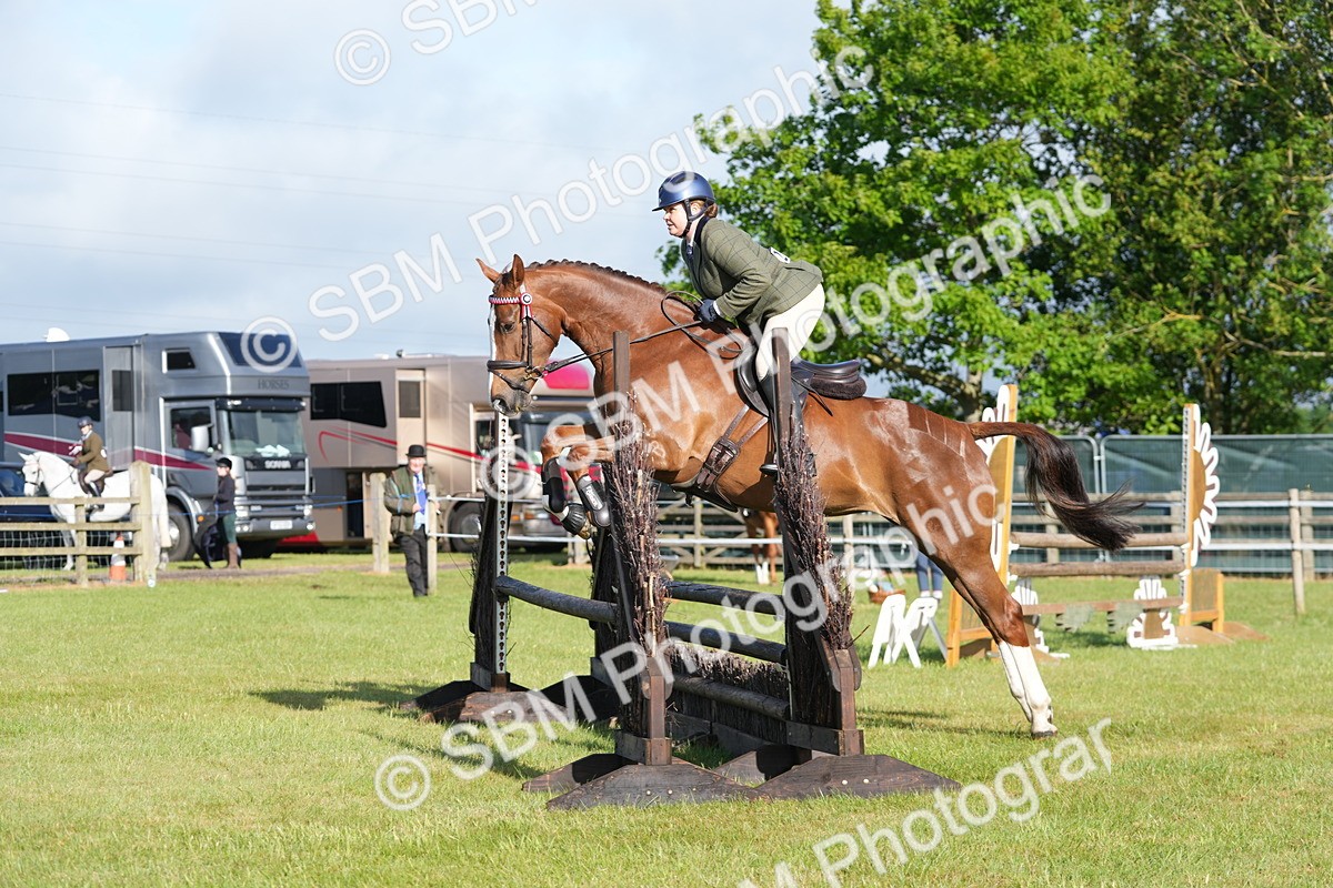 SBM_10509 - Class 97-98 - LIHS BSHA Rising Star Working Show Horse Hunter