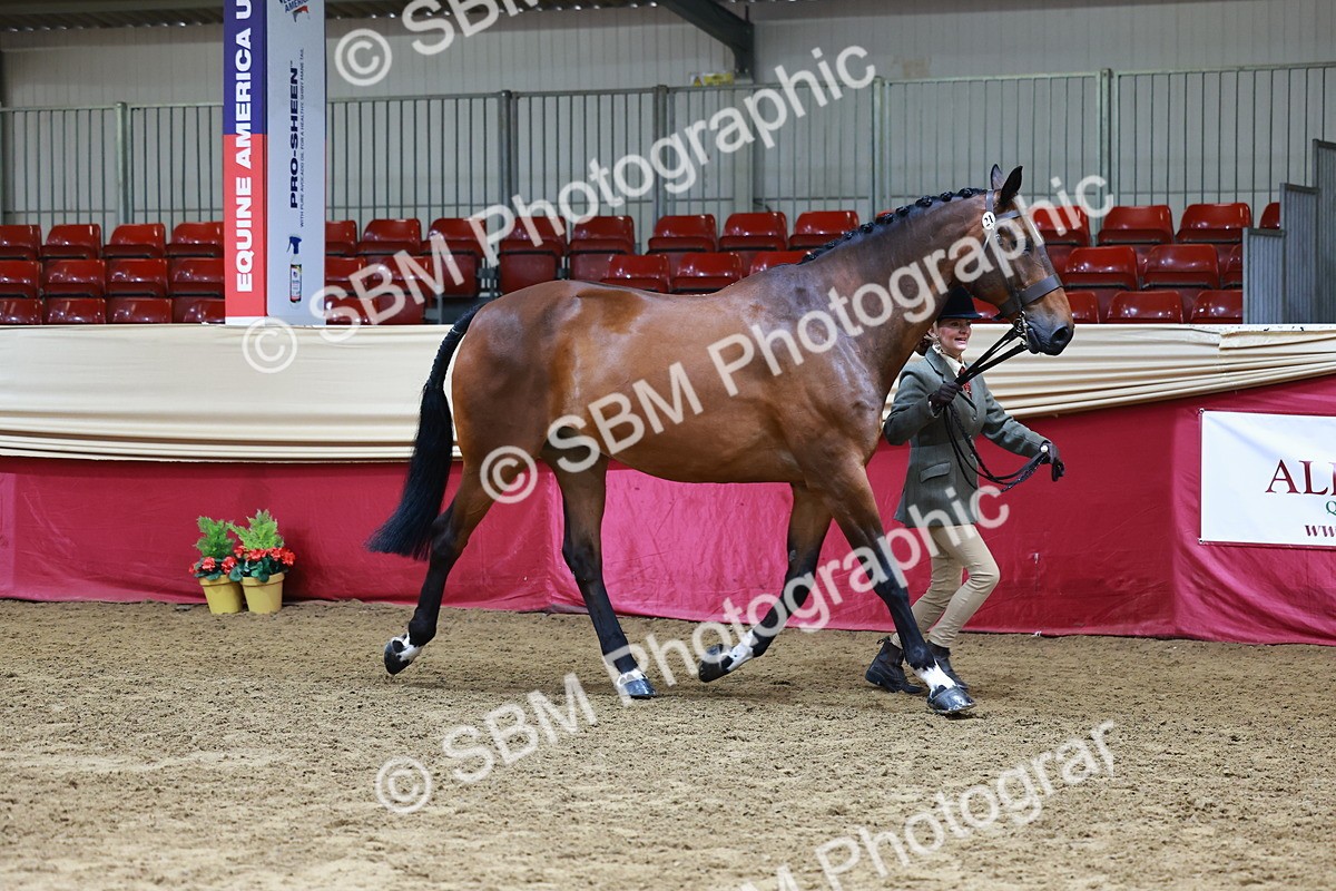 SBM_22284 - Class 902 - Supreme Final - IH Diamond